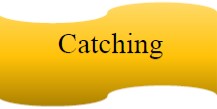 Catching