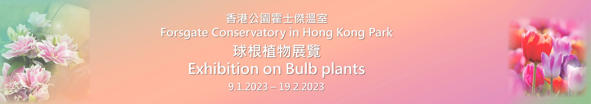 香港公园球根植物主题展览