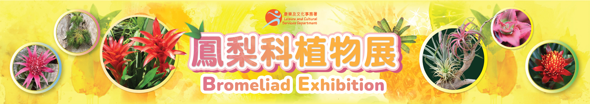 香港公園鳳梨科植物展覽