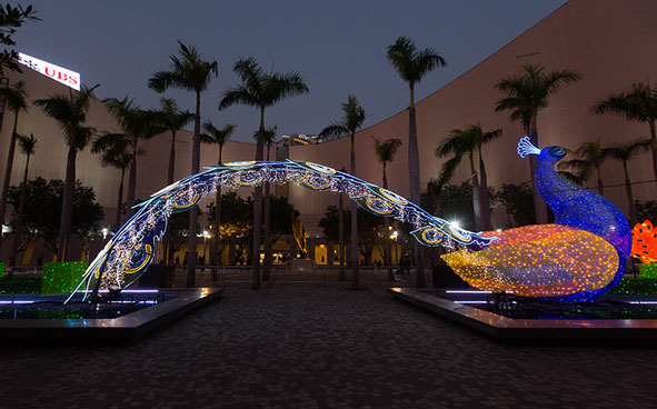 Lunar New Year Thematic Lantern Display ─ Glittering Peacocks in Full Bloom