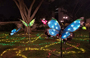 2021 Mid-Autumn Lantern Decorations - Sha Tin Park