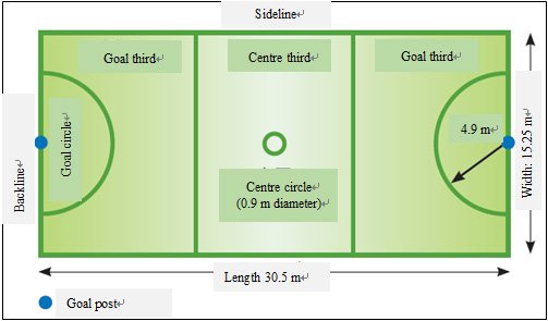 Standard layout of the netball court 