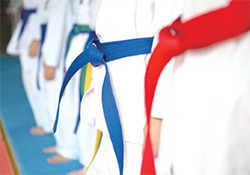 Color belts, &ldquo;Gup&rdquo; and &ldquo;Dan&rdquo;