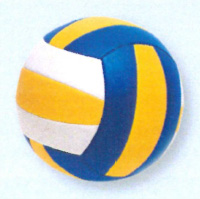 Beach volleyball ball